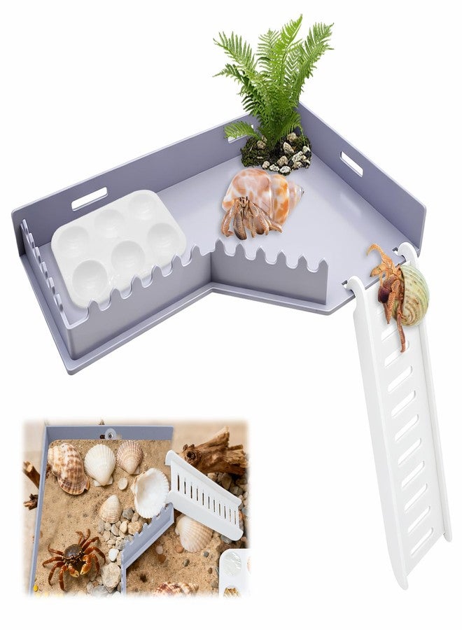 KCMOSGI Hermit Crab Accessories - Hermit Crab Platform with Ladder and Food Dish, Hermit Crab Climbing Toys, Habitat Tank Accessories for Hermit, Geckos, Small Lizards - Image 1